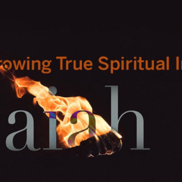 Developing True Spiritual Instincts 