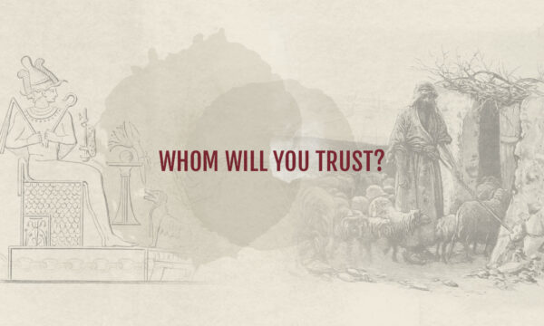 Whom Will You Trust?