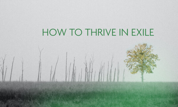 How to Thrive in Exile