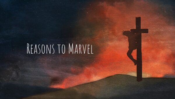 Reasons to Marvel: How Seeing Jesus Provokes Transformation